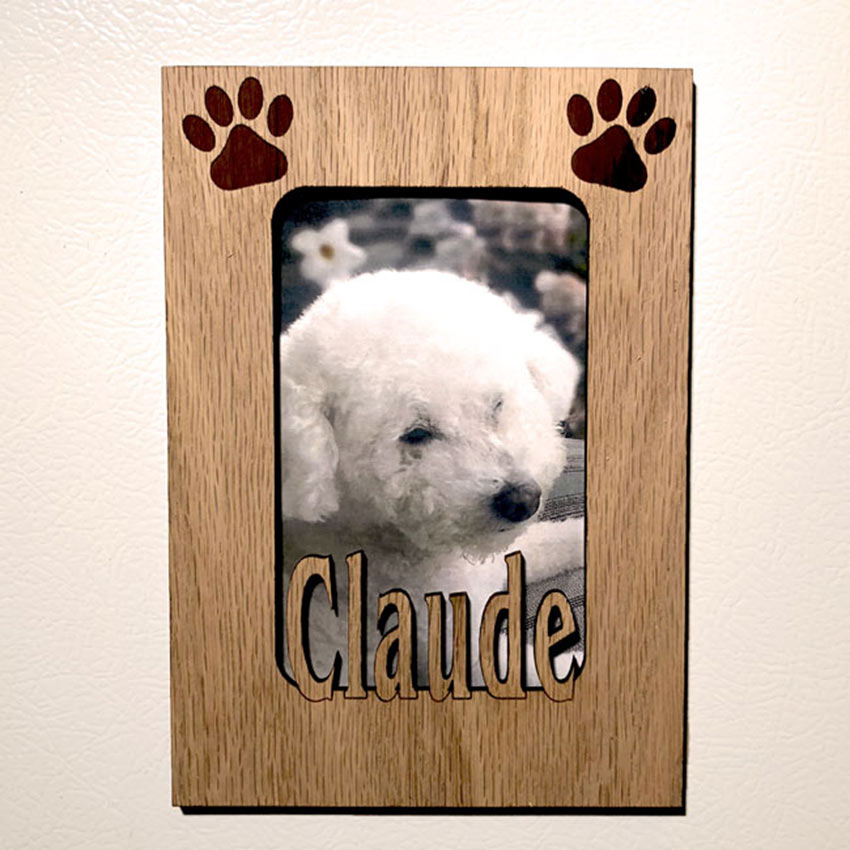 Paws or Claws Personalized Picture Mats with Pets Cut Out Name